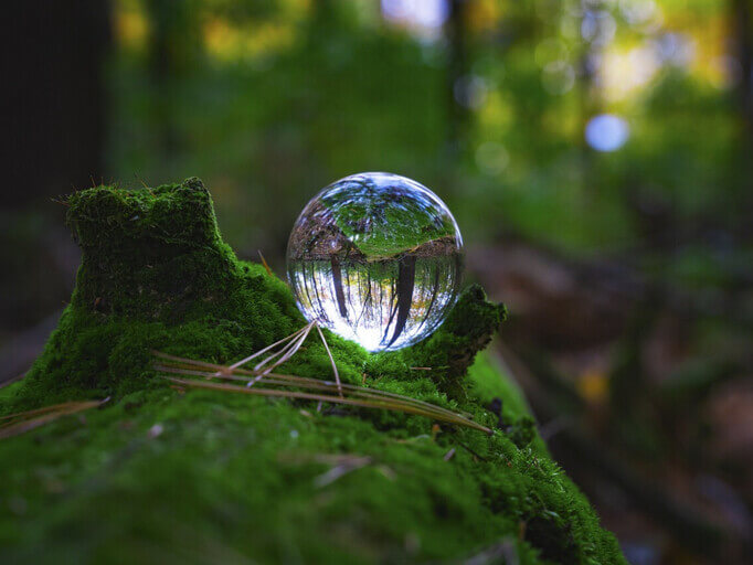 Le globe en verre transparent tenu à la main reflète la nature environnante